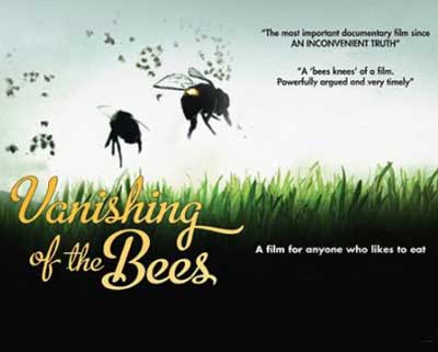 Vanishing of the bees