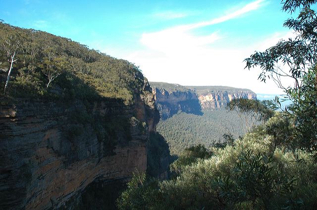dsc_0455.jpg