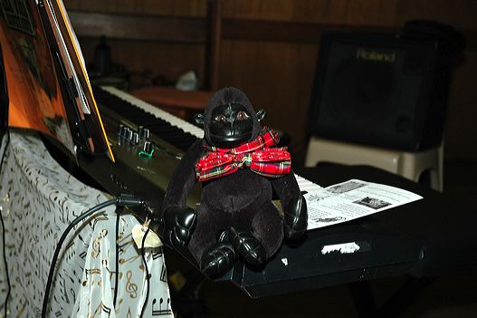 dsc_8084.jpg