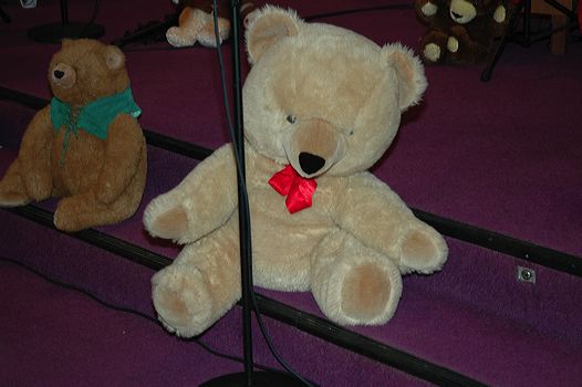 dsc_1143.jpg