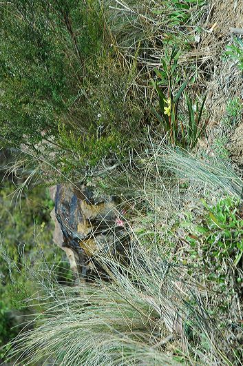 dsc_2159.jpg