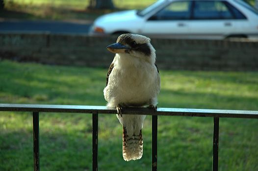 dsc_2785.jpg
