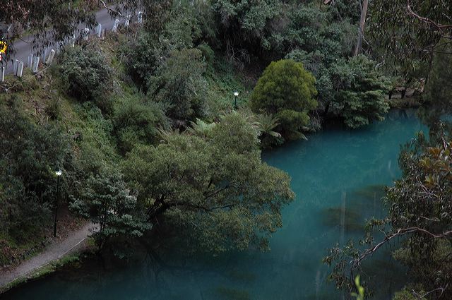 dsc_8158.jpg