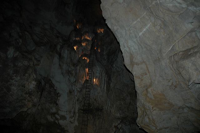 dsc_8162.jpg