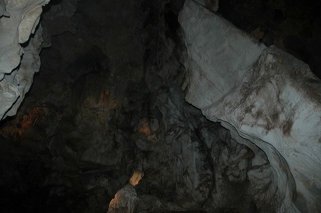 dsc_8164.jpg