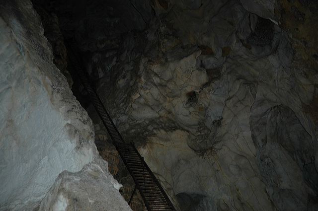 dsc_8171.jpg