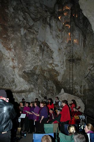 dsc_8227.jpg