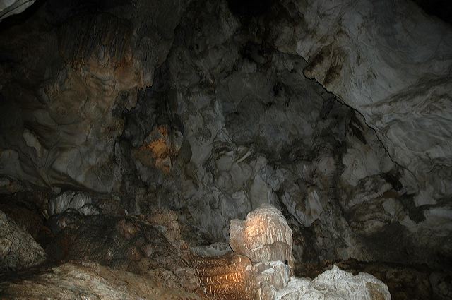 dsc_8297.jpg