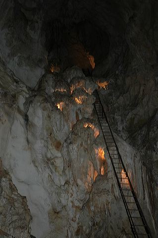dsc_8306.jpg