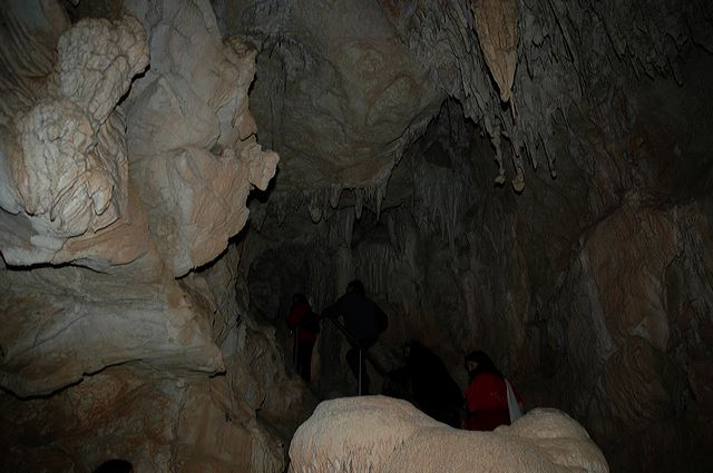 dsc_8325.jpg