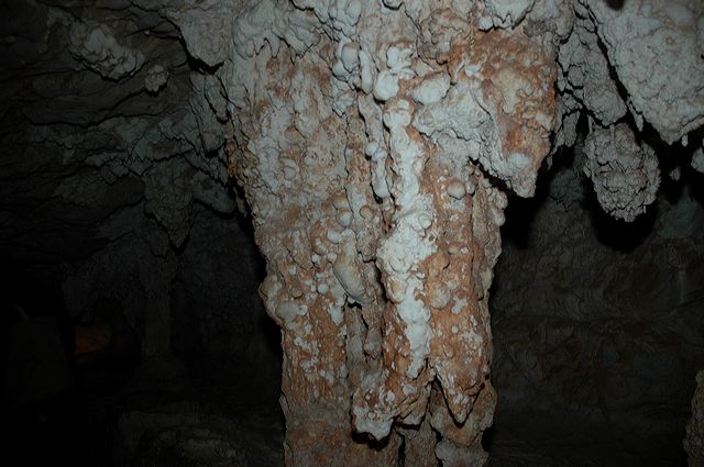 dsc_8326.jpg