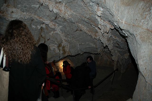 dsc_8328.jpg