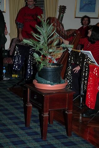 dsc_8523.jpg