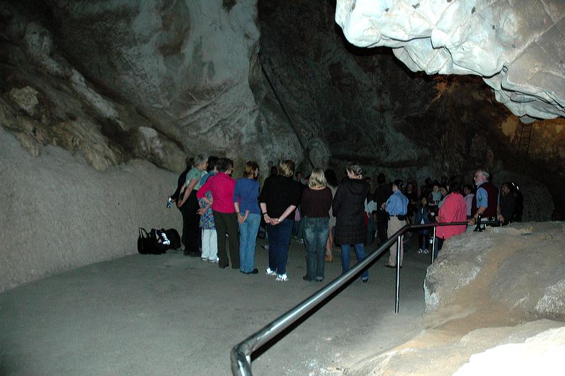 dsc_2307.jpg