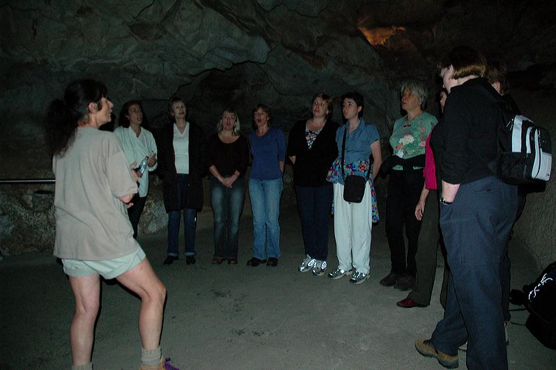 dsc_2310.jpg
