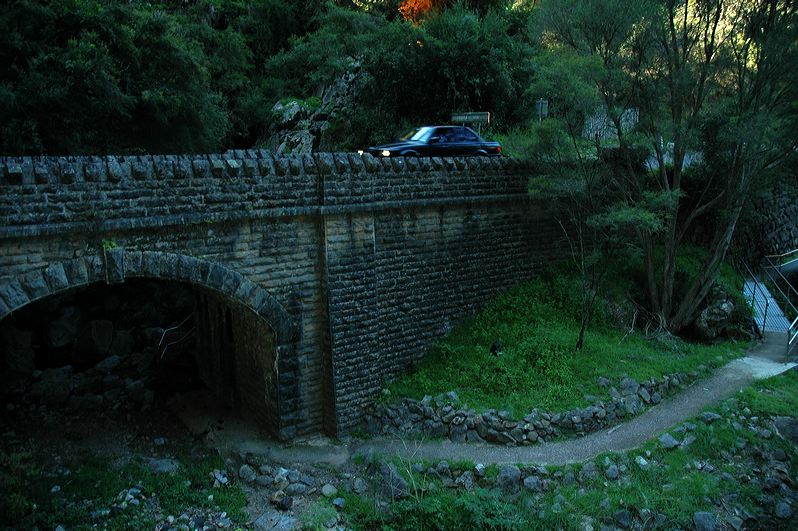 dsc_2350.jpg