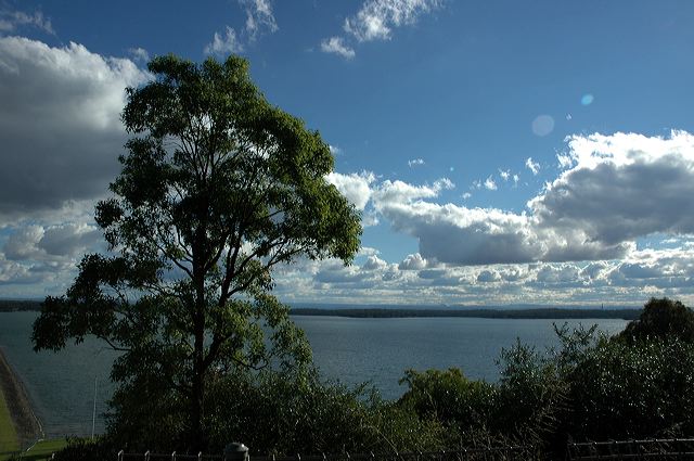 dsc_5975.jpg