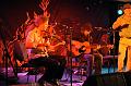 Warren_Fahey_&_The_Larrikins_17