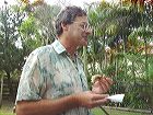 dsc08775
