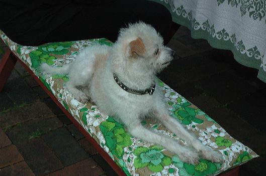 dsc_1091.jpg