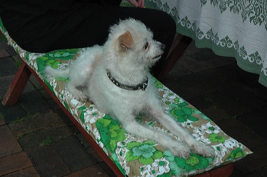dsc_1092.jpg